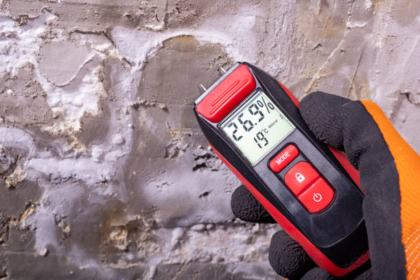 Best Attic Mold Removal  in Melbourne, FL
